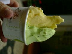 -柠檬车露(卖草地店)