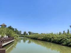 -泗洪洪泽湖湿地景区