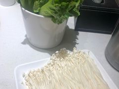 -古乐牛香·鲜牛肉牛杂火锅(新区店)