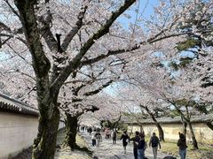 -醍醐寺