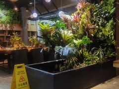 -森味薪火烧•烧鸟居酒屋•日本料理(望京店)