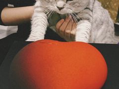 -慕叁山(青岛店)