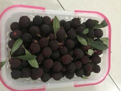 -西山樟坞健康果园枇杷杨梅采摘