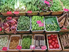 -银生食府·普洱菜(金星店)