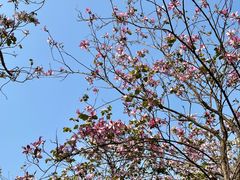 -广州市白云区图书馆