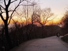 -紫金山山顶公园