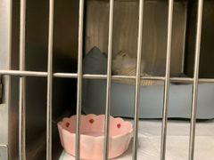 -爱诺耐芙动物医院(万博店)