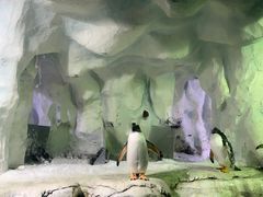-南昌海洋公园