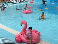 -杭州开元森泊度假乐园