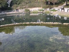 -苏州河梦清园环保主题公园