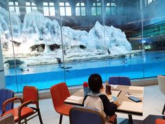 -帝企鹅自助餐厅•儿童岛•真企鹅(长隆企鹅酒店)