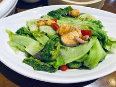 白灼罗马生菜-广州海鲜酒楼(长丰园店)