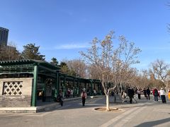 -西海子公园