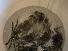 -禧福楼·十五年老店(科技城店)