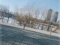 -长白岛森林公园