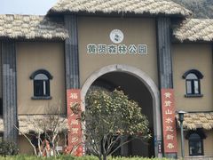 -黄贤森林公园