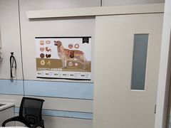 -中农国际动物医院24小时·猫科·骨科·急重症中心