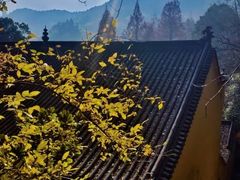 -九华山风景区