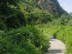 -三块石国家森林公园