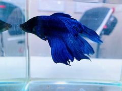 -中国工商银行(北京苏州街支行)