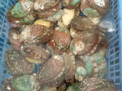 -清水湾3号(东方小周海鲜店)