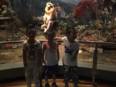 -陕西自然博物馆