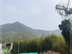 -莫干山风景区