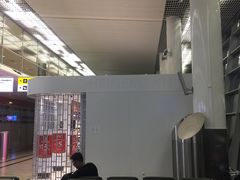 -谢列梅捷沃国际机场