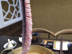 -土著渔匠·养生蝴蝶鱼(香樟路店)