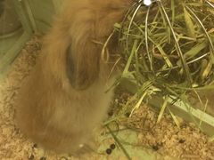 -龙猫仔乐园(惠福东路店)