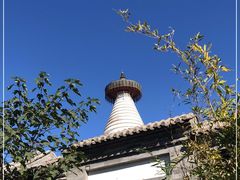 -杏园餐厅(阜成门店)