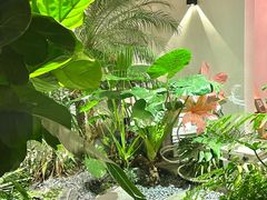 -漫笙舍Manse·咖啡·民宿