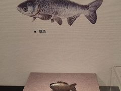 -湖州博物馆