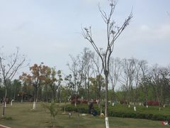 -上海长兴岛郊野公园