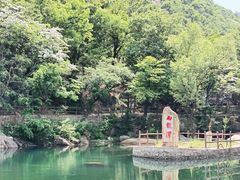 -洛阳花果山景区