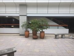 -佛山市图书馆(祖庙路分馆)