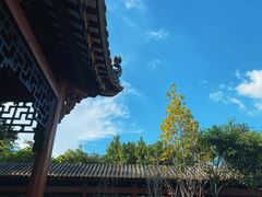 -顺峰山公园