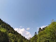 -武陵山森林公园