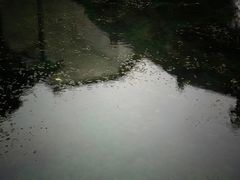 -丝绸小镇荻港古村