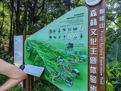 -广州市帽峰山景区