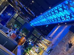 大堂-bluefrog蓝蛙(皇庭广场店)