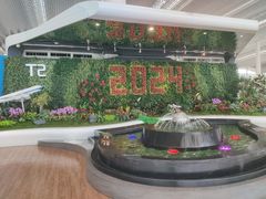 -广州白云国际机场-T2航站楼