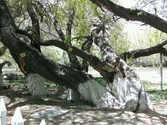 android_upload_pic-宗角禄康公园