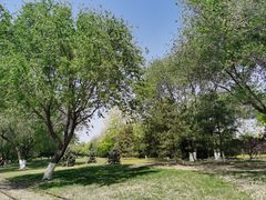 -永定河休闲森林公园