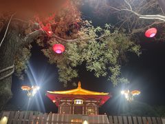 -大唐不夜城