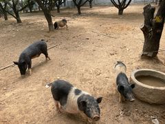 -龙口动植物园