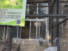 -保定市动物园