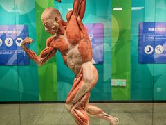 -国家自然博物馆