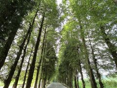 -齐岳山