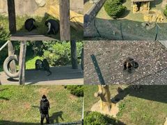 -大连森林动物园